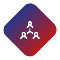 Diverse Lending Network